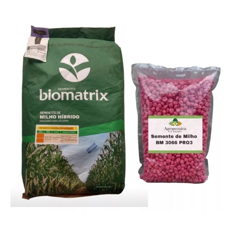 Semente Milho Bm 3066